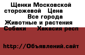 Щенки Московской сторожевой › Цена ­ 35 000 - Все города Животные и растения » Собаки   . Хакасия респ.